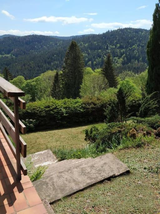 Maison D'Altitude Avec Vue Panoramique A Gérardmer Exterior foto
